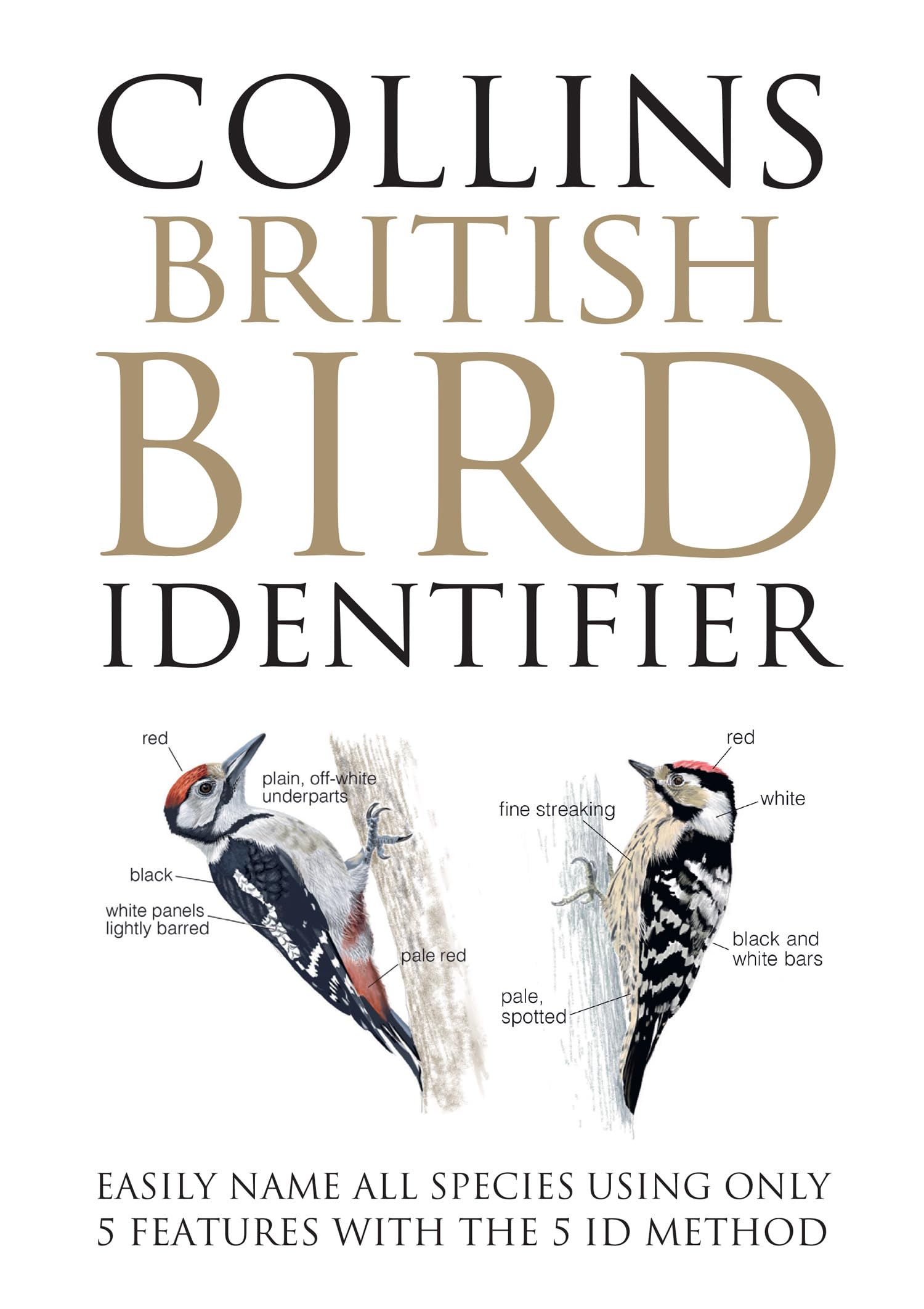 Libro: Collins British Bird Identifier: A revolution in bird identification