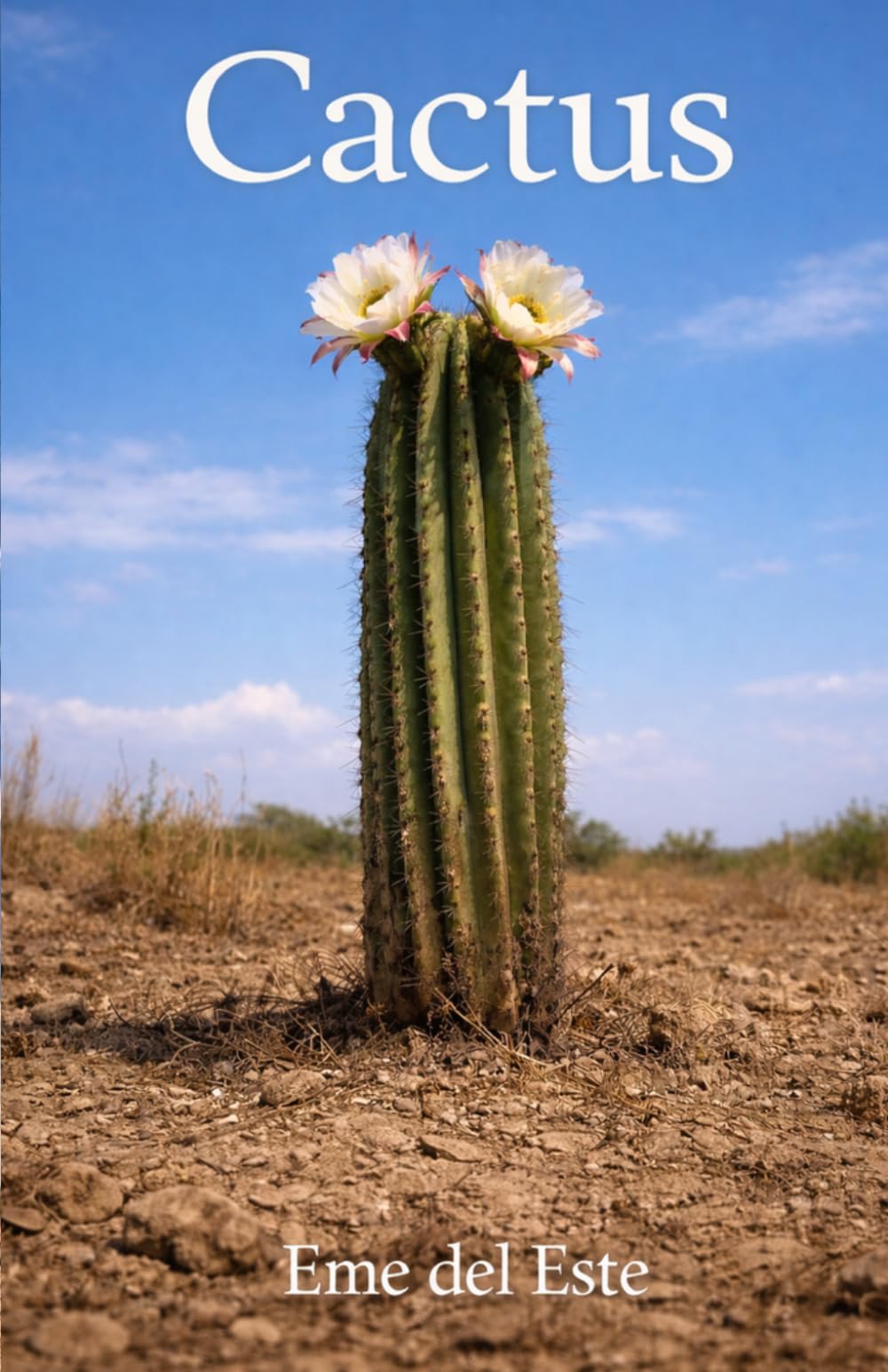 Libro: CACTUS (Spanish Edition)