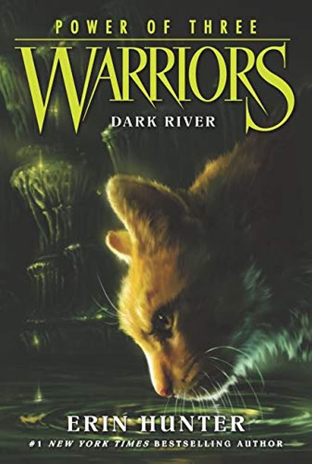 Libro: Warriors: Power of Three #2: Dark River