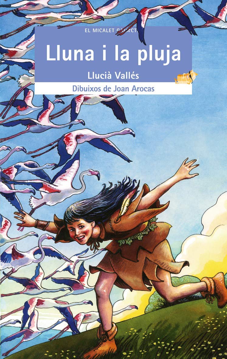 Libro: Lluna i la pluja