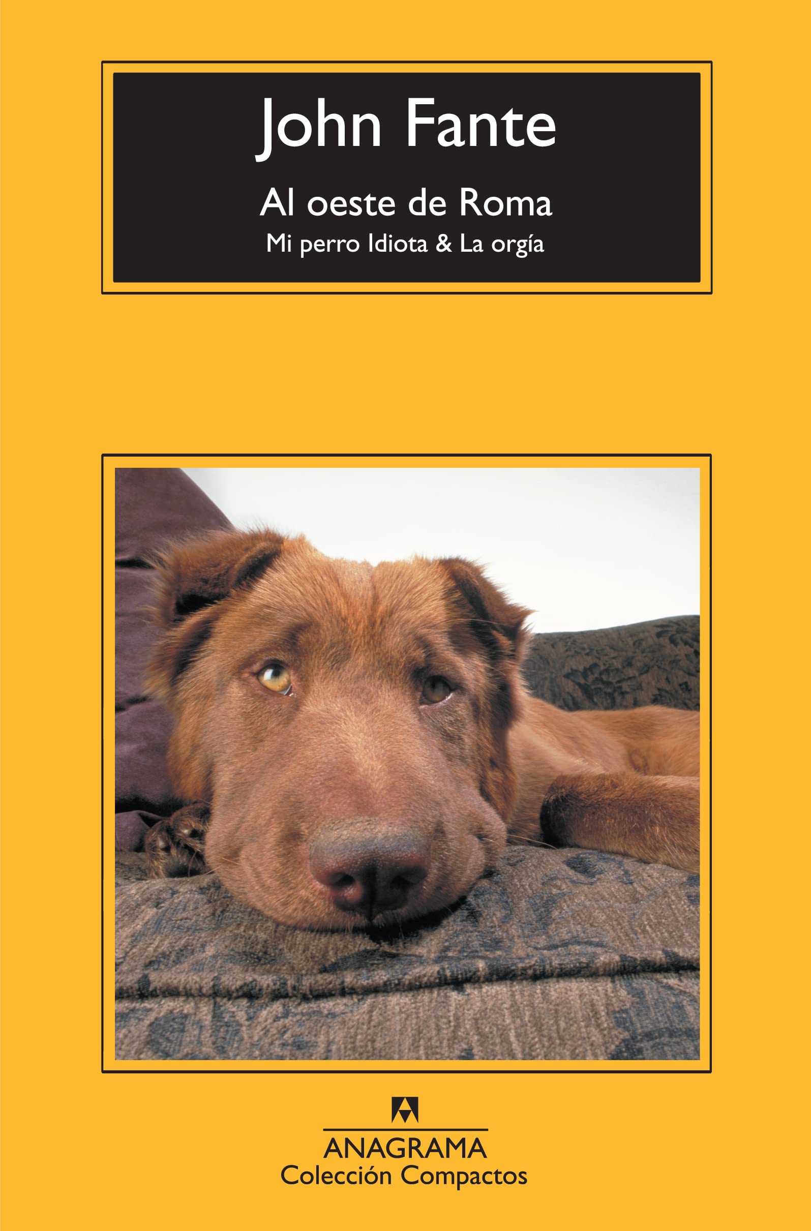 Libro: Al oeste de Roma: Mi perro Idiota & La orgía: 527 (Compactos)