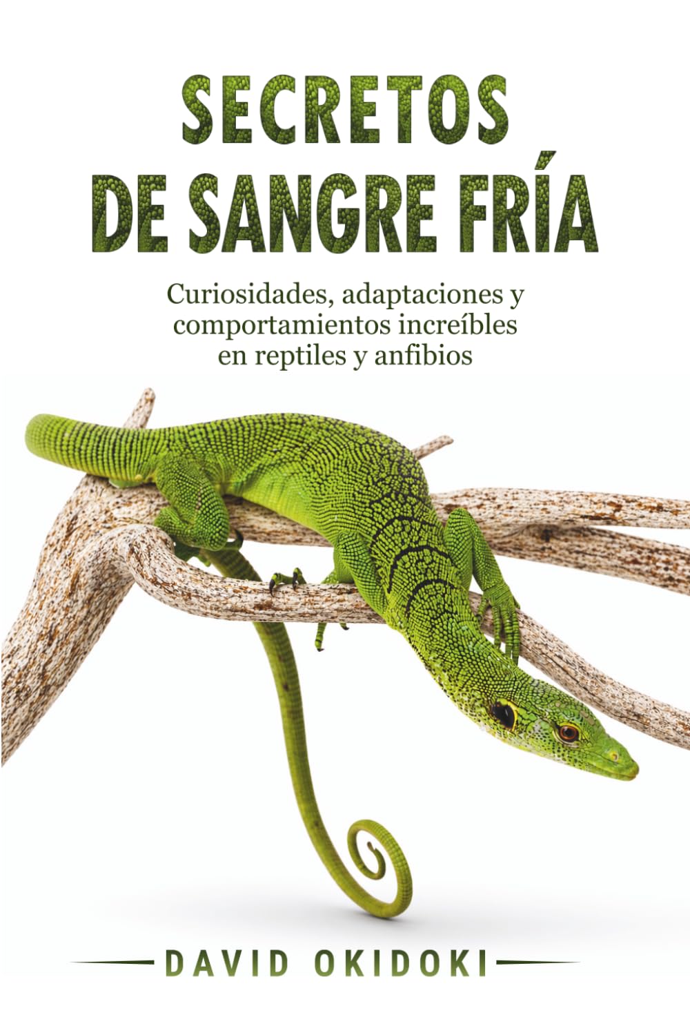 Secretos de sangre fría: Curiosidades, adaptaciones y comportamientos increíbles en los reptiles y anfibios más sorprendentes del mundo