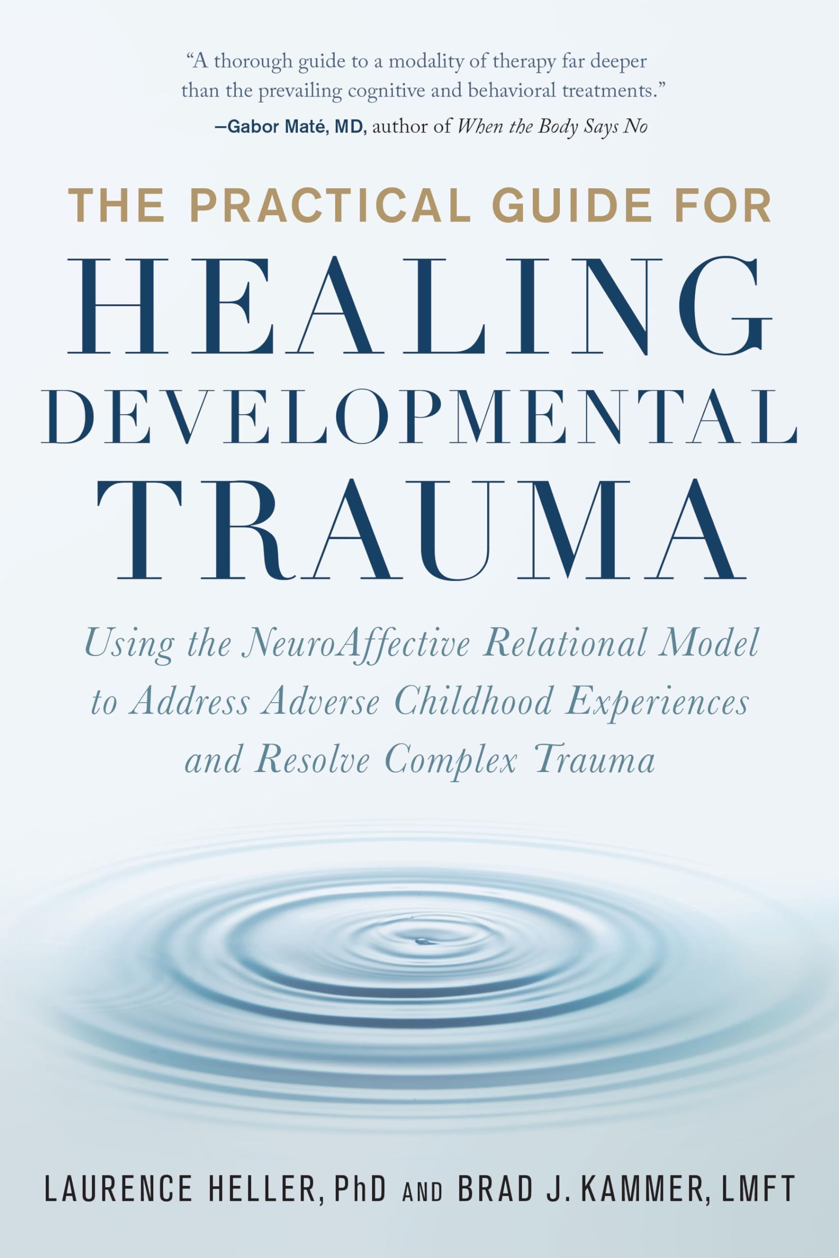 Libro: The Practical Guide for Healing Developmental Trauma: Using the NeuroAffective Relational Model to Address Adverse Childhood Experiences and Resolve Complex Trauma