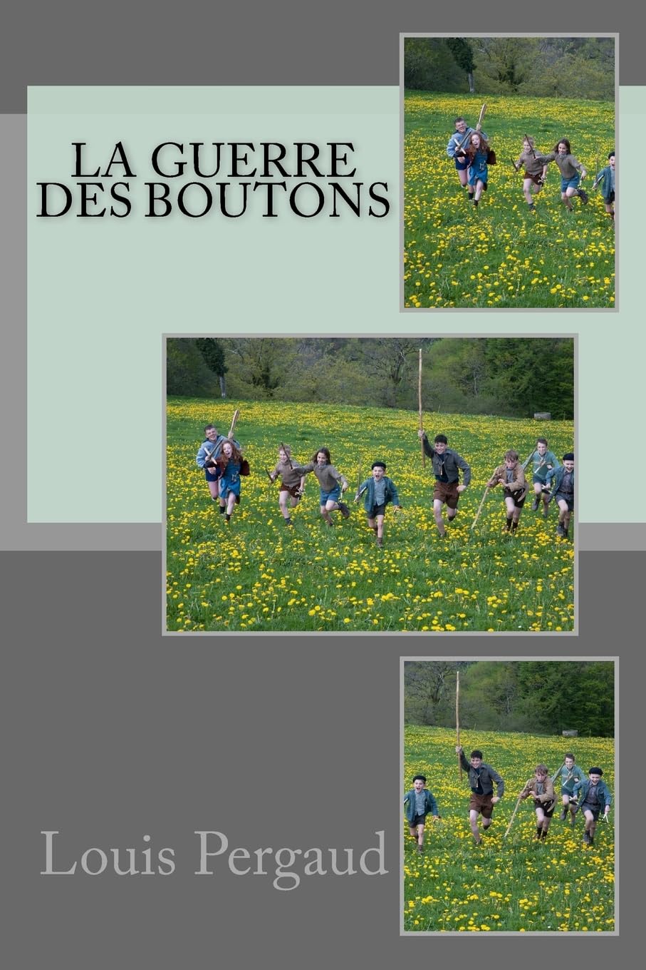Libro: La guerre des boutons