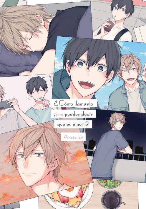 Libro: ¿como llamarlo si no puedes decir que es amor? (BL)