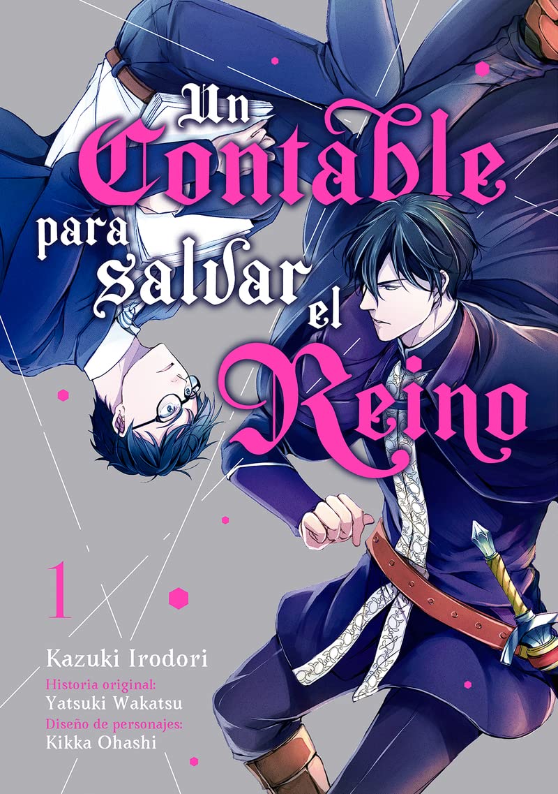 Libro: Un contable para salvar el reino, vol. 1