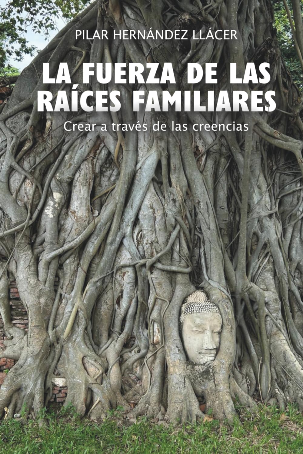 Libro: La Fuerza de las Raíces Familiares: Crear a través de las creencias