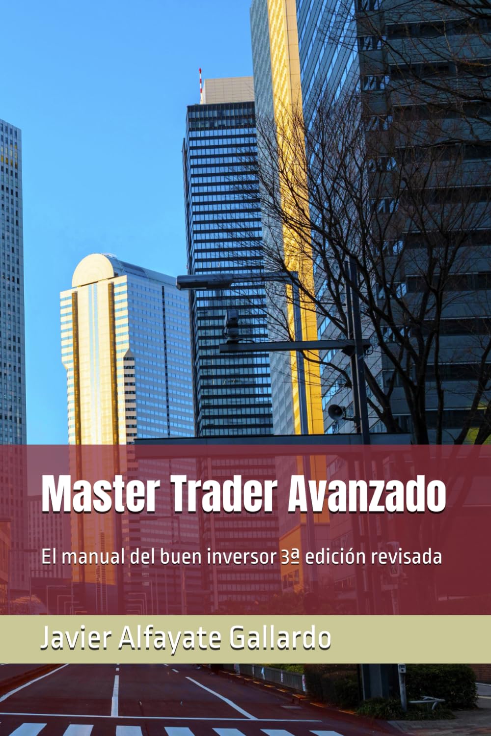 Master Trader Avanzado: El manual del buen inversor 3ª edición revisada