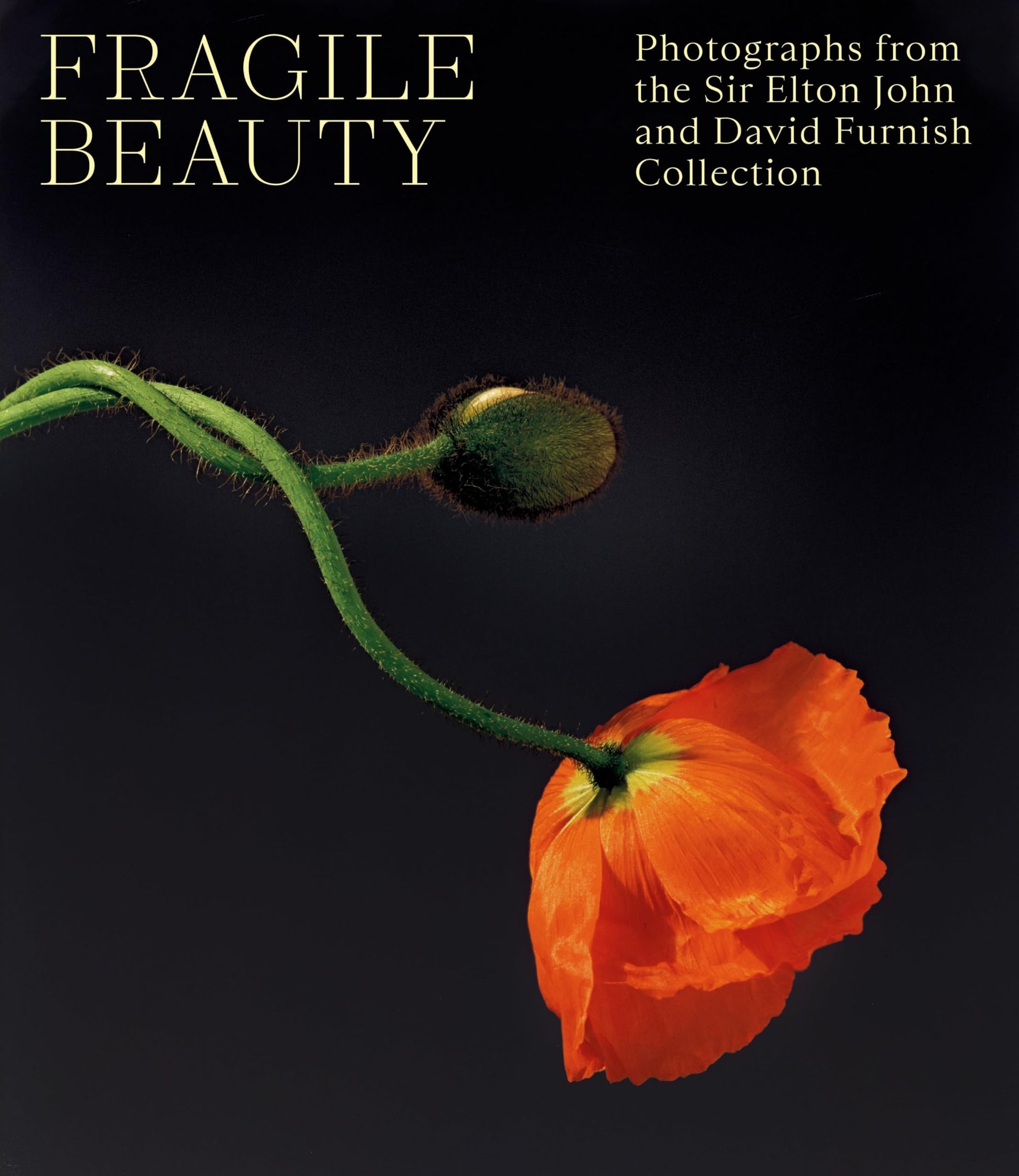Libro: Fragile Beauty: Photographs from the Sir Elton John and David Furnish Collection