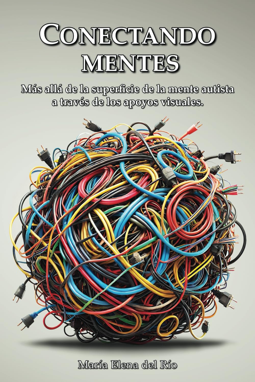 Libro: Conectando Mentes: Más allá de la superficie de la mente autista a través de los apoyos visuales
