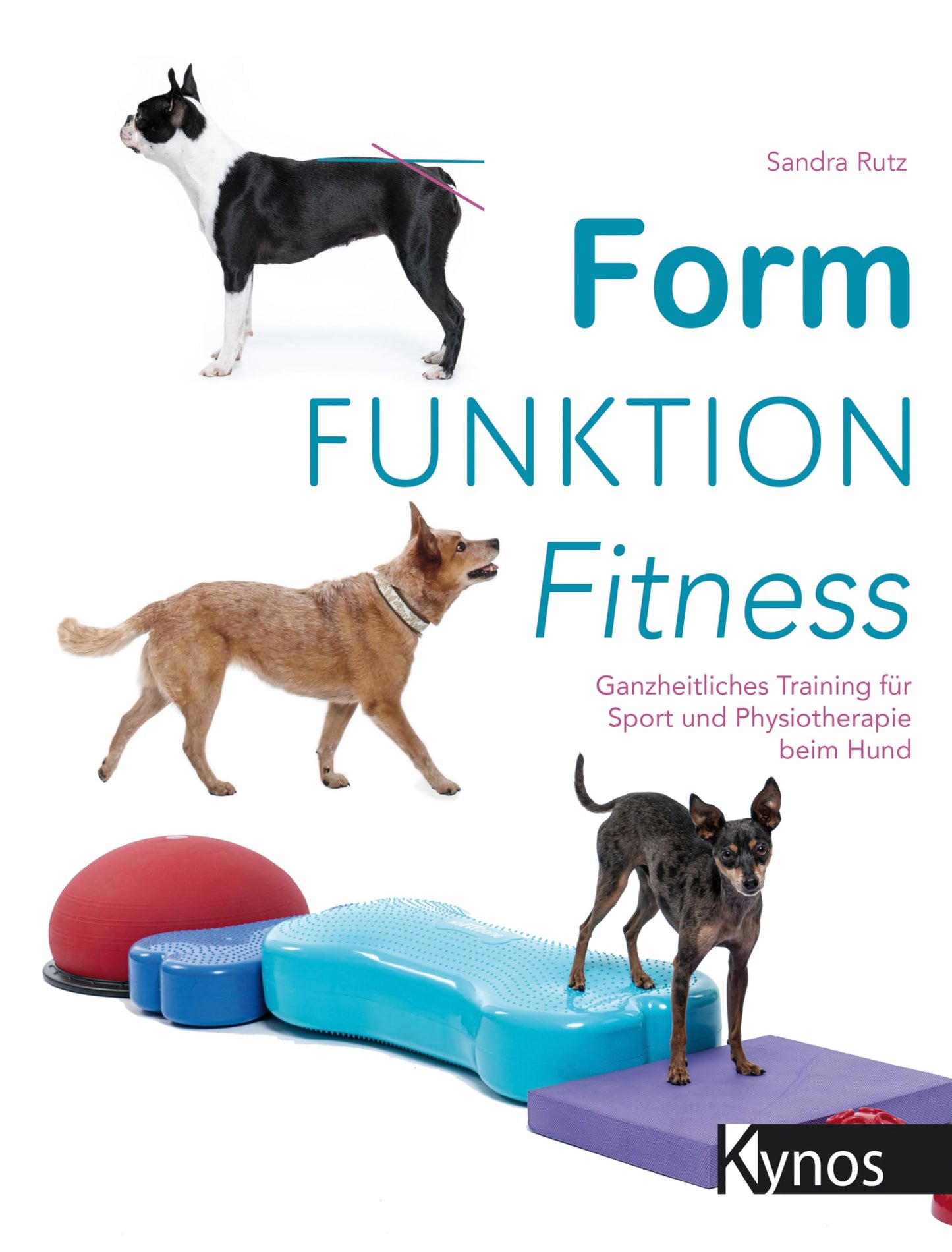 Libro: Form Funktion Fitness: Ganzheitliches Training für Sport und Physiotherapie beim Hund