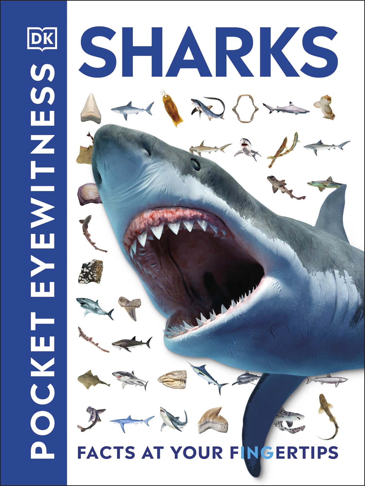 Libro: Pocket Eyewitness Sharks: Facts at Your Fingertips