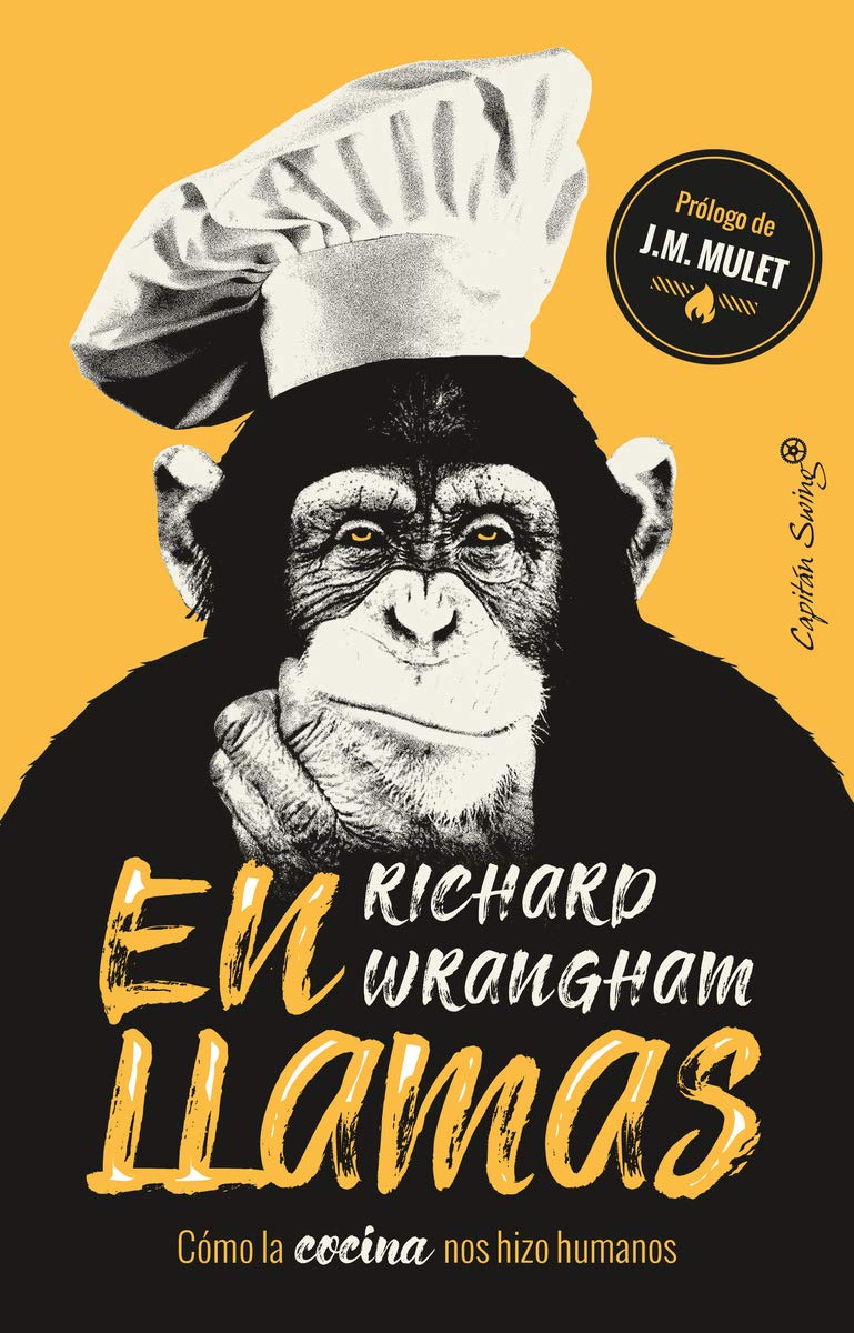 Libro: En llamas: Cómo la cocina nos hizo humanos (ENSAYO)