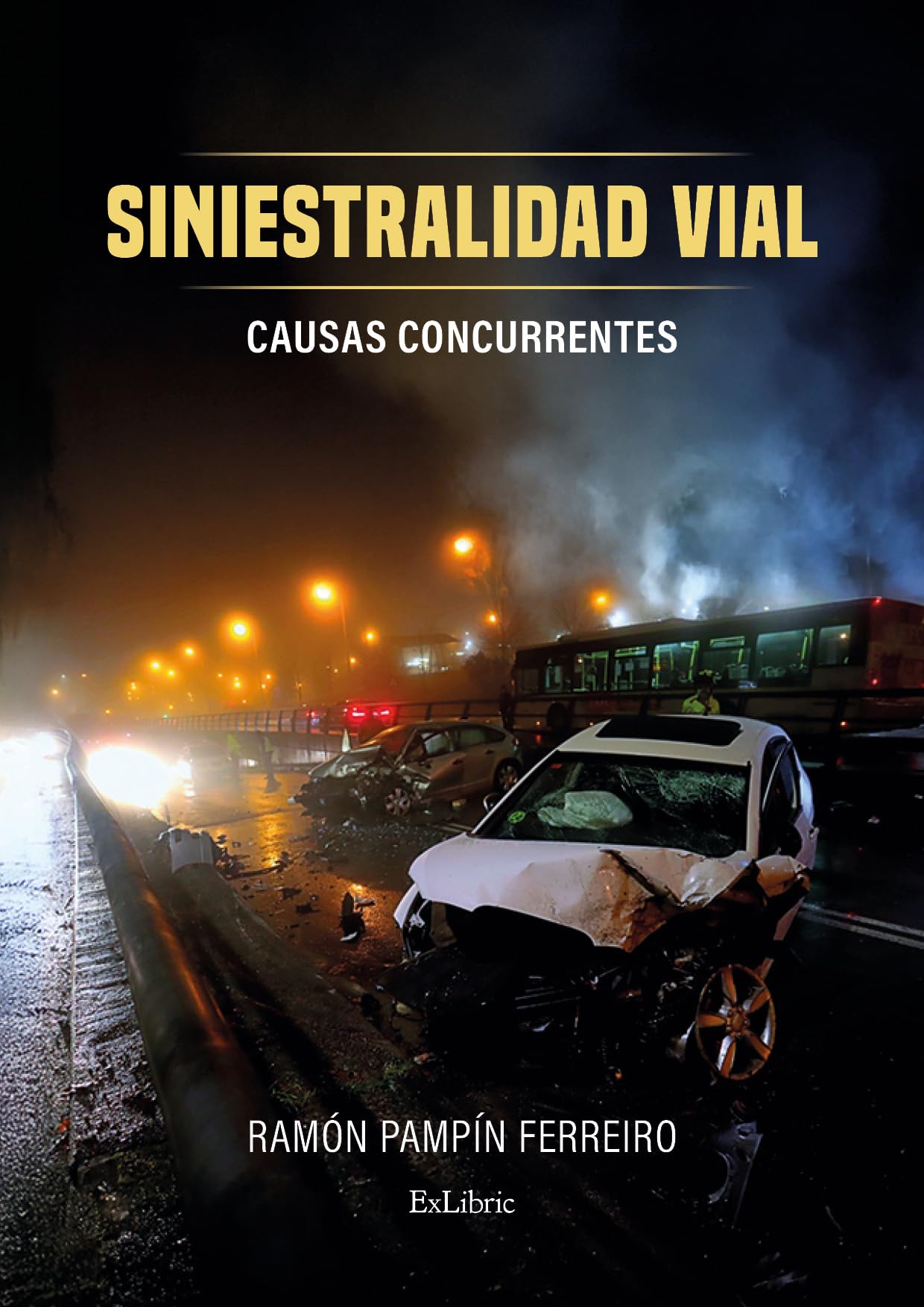 Libro: Siniestralidad vial. Causas concurrentes