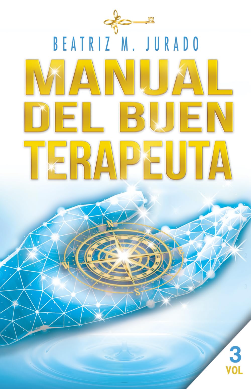 Libro: Manual del Buen Terapeuta: Si eres terapeuta en busca de éxito y un trabajo bien realizado, este es tu libro (Guía práctica para terapeutas)