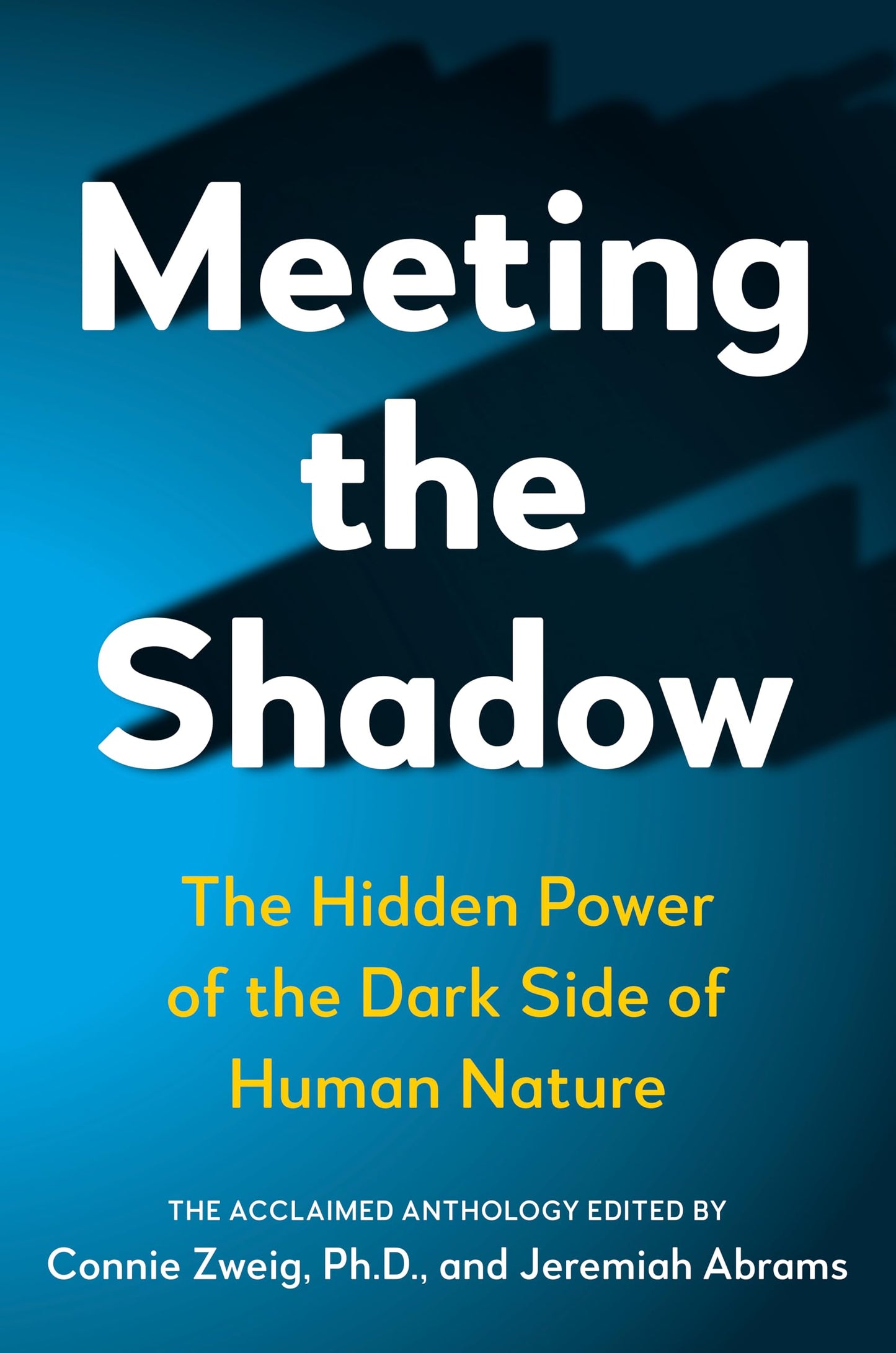 Libro: Meeting the Shadow: The Hidden Power of the Dark Side of Human Nature (New Consciousness Reader)