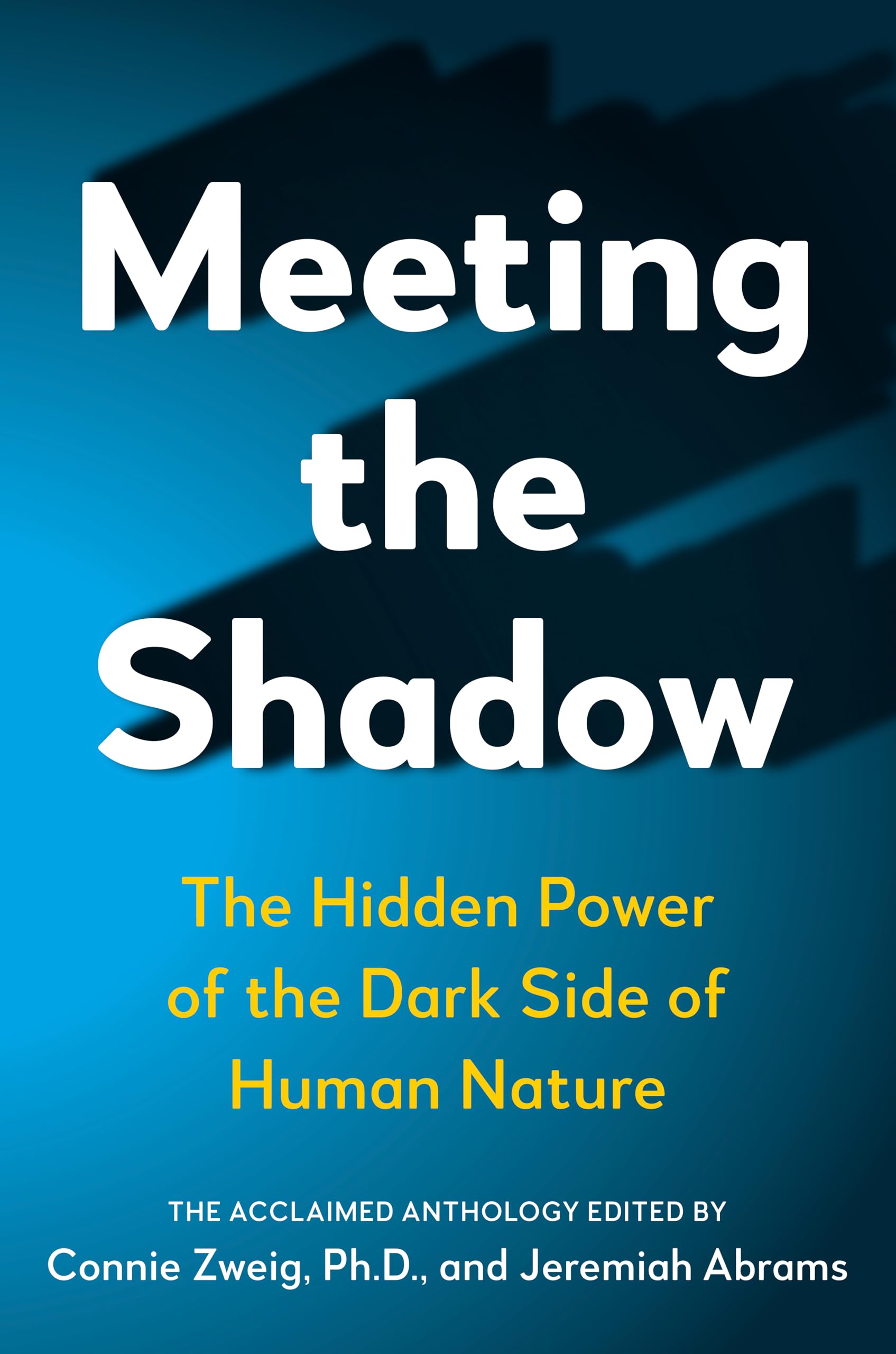 Libro: Meeting the Shadow: The Hidden Power of the Dark Side of Human Nature (New Consciousness Reader)