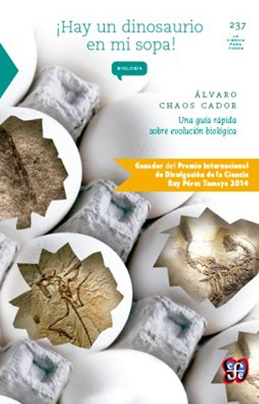 Libro: ¡Hay un dinosaurio en mi sopa! (Spanish Edition)