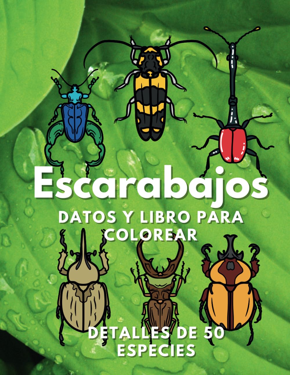 Libro: Escarabajos: datos y libro para colorear: Libro de actividades para niños de 2 a 16 años