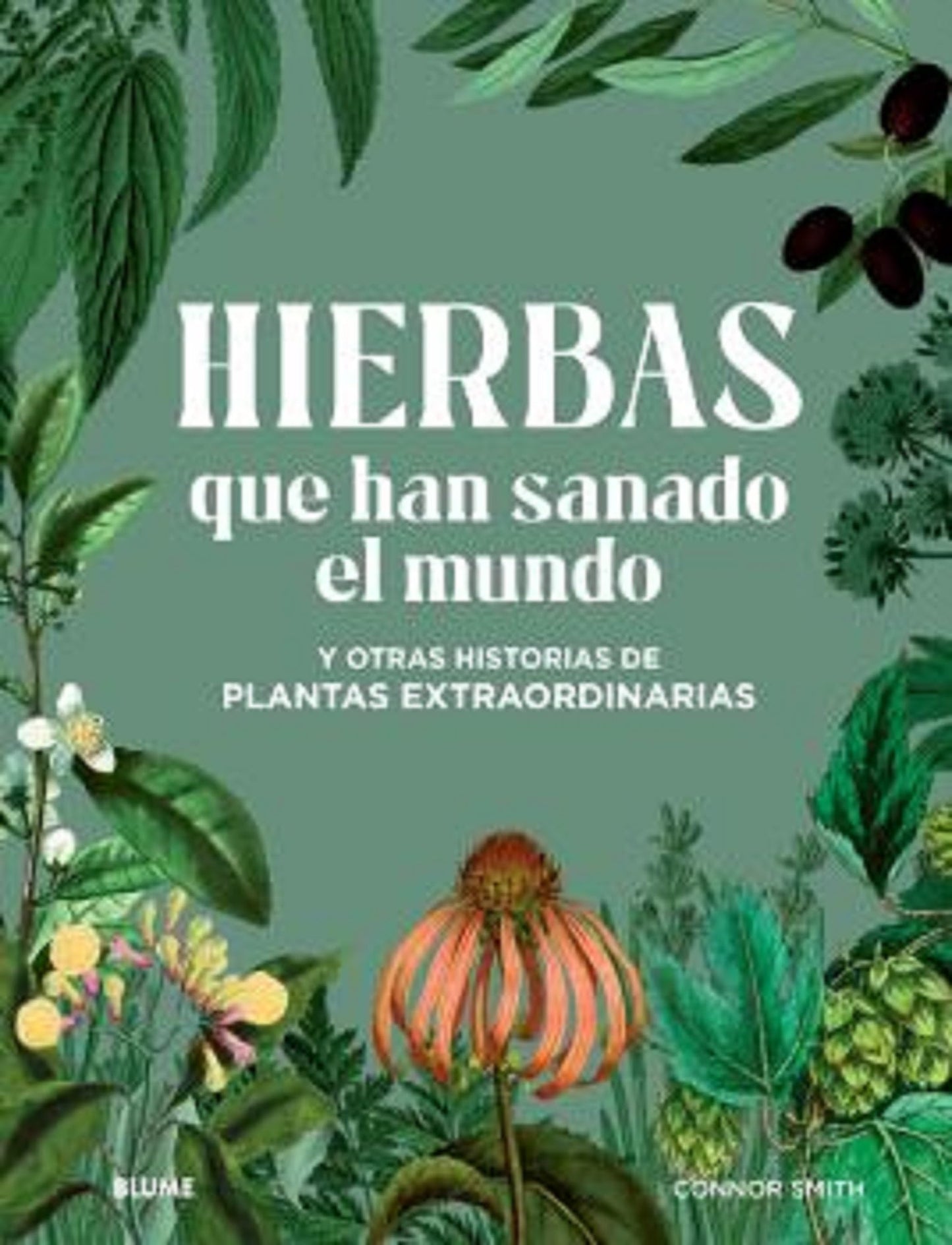 Libro: Hierbas que han sanado el mundo: y otras historias de plantas extraordinarias