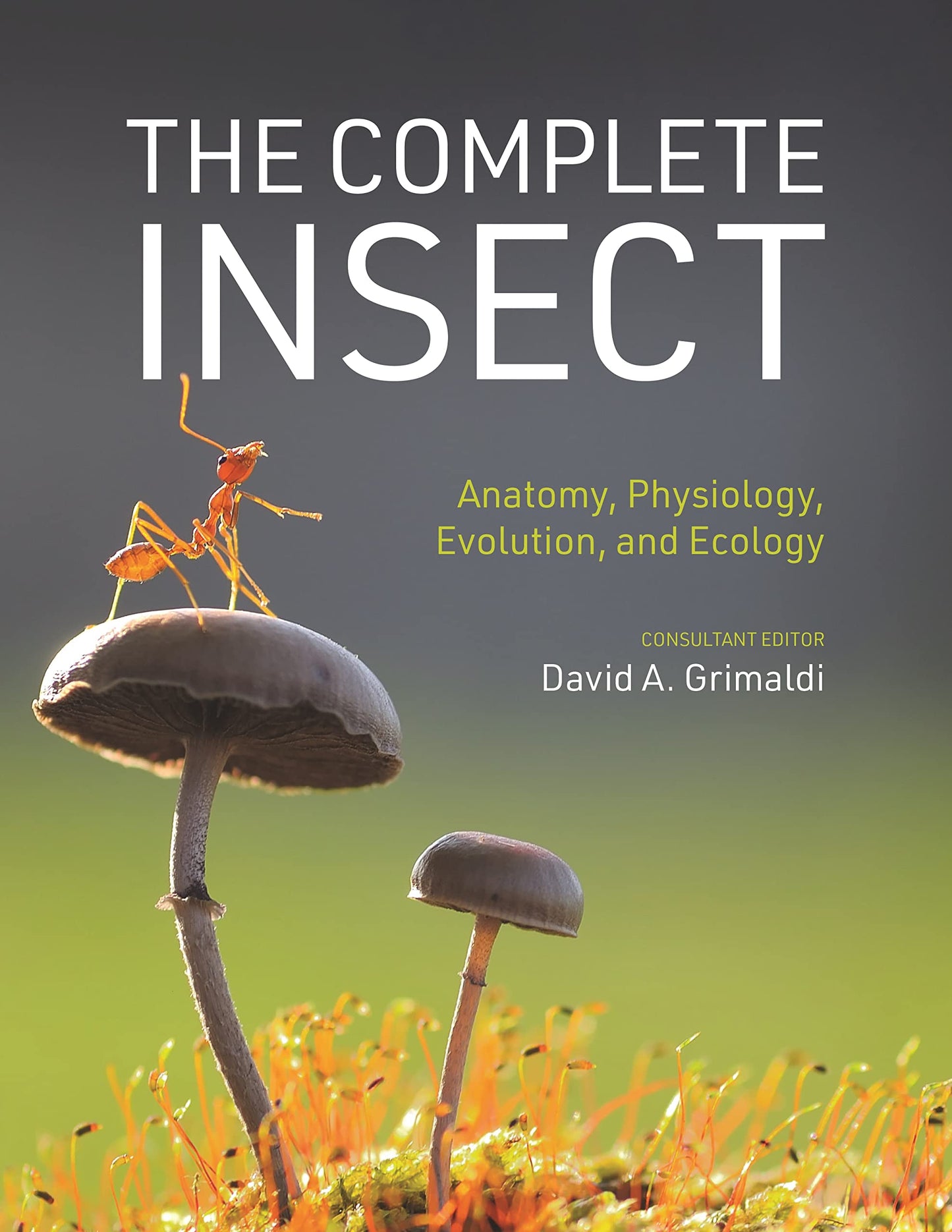 Libro: The Complete Insect: Anatomy, Physiology, Evolution, and Ecology
