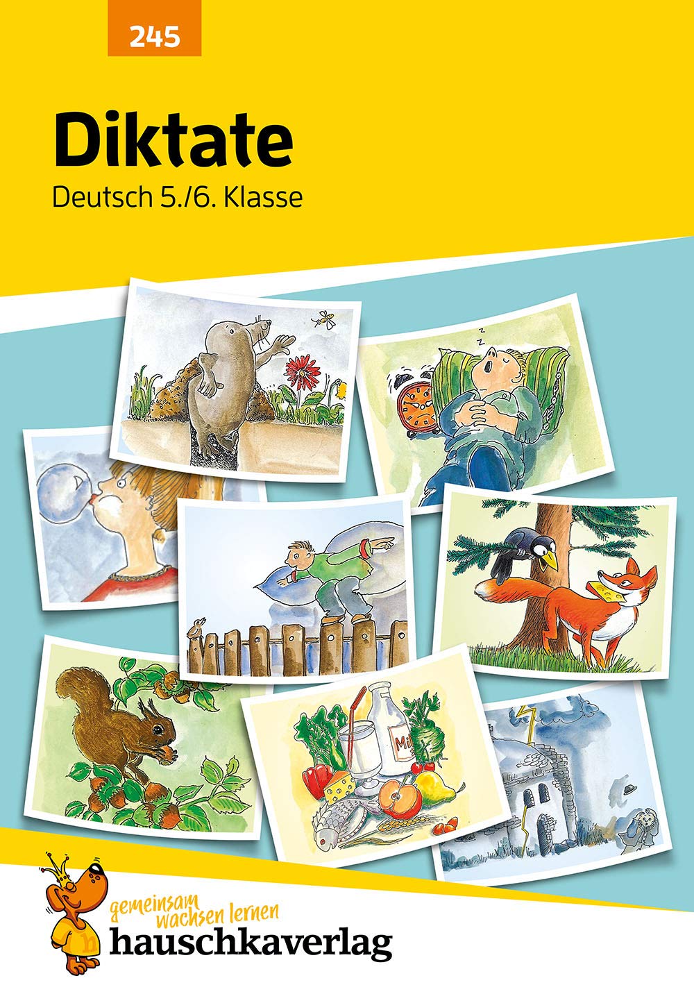 Libro: Diktate 5./6. Klasse