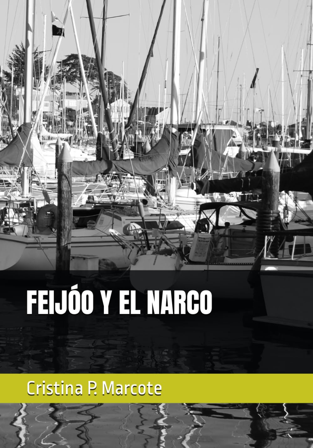 Libro: FEIJÓO Y EL NARCO