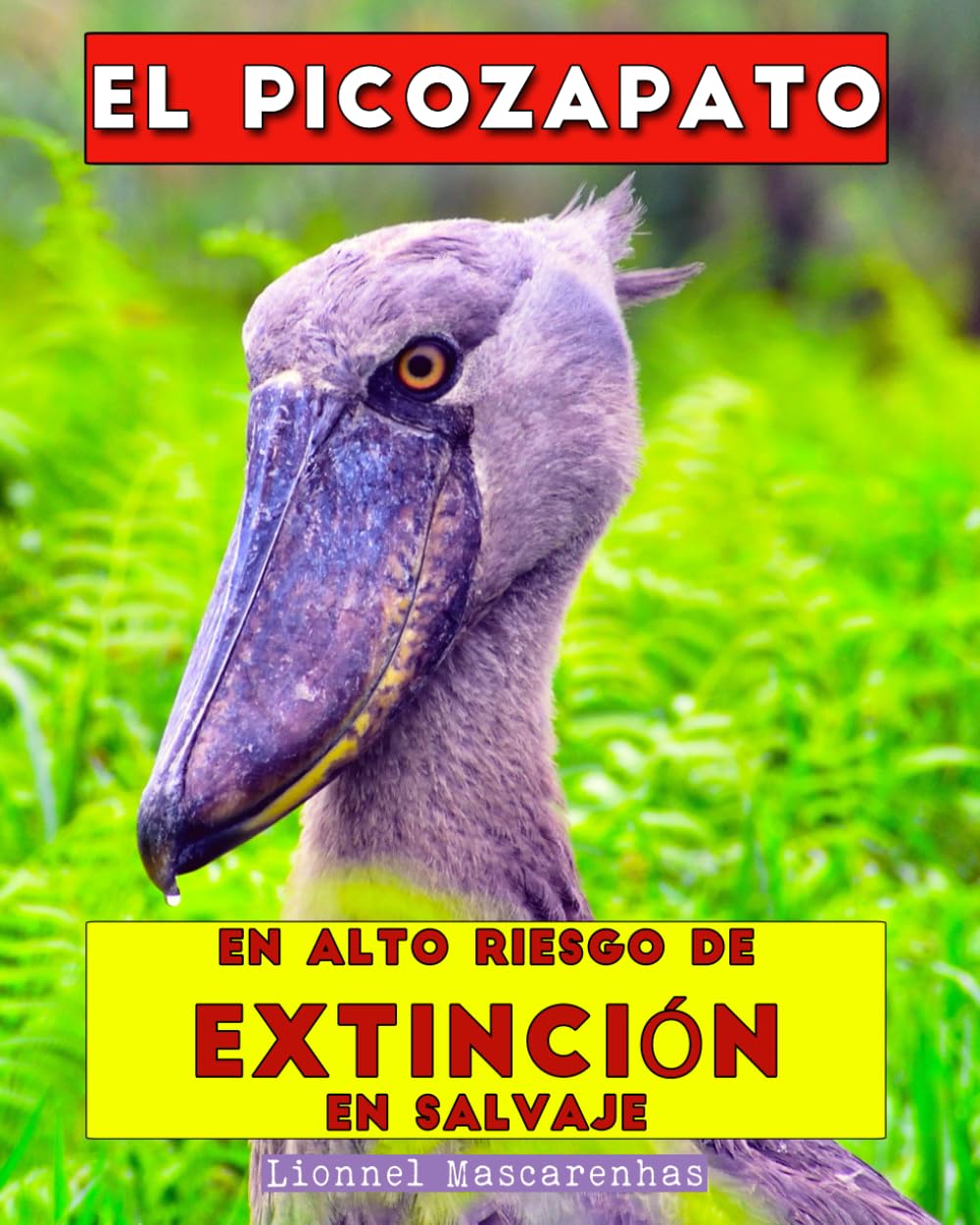 Libro: El picozapato: En alto riesgo de extinción en salvaje