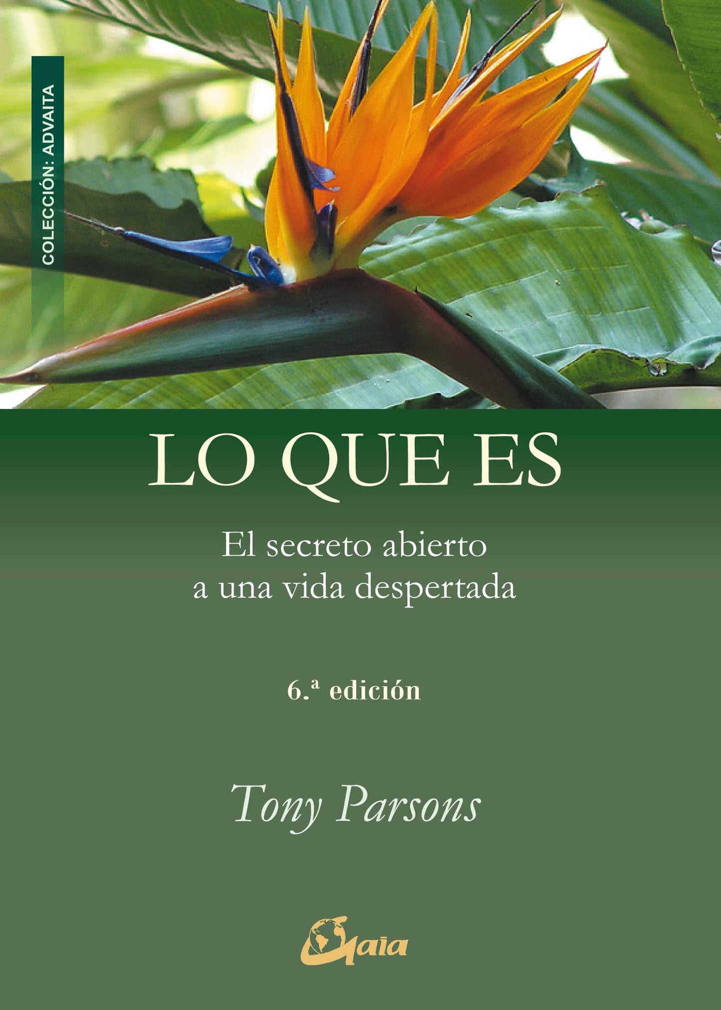 Libro: Lo Que Es