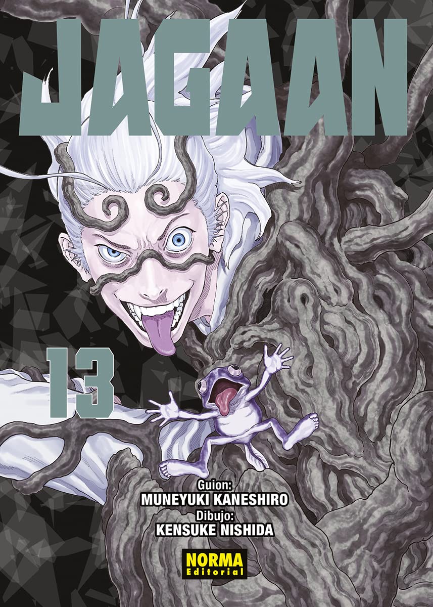 Libro: JAGAAN 13