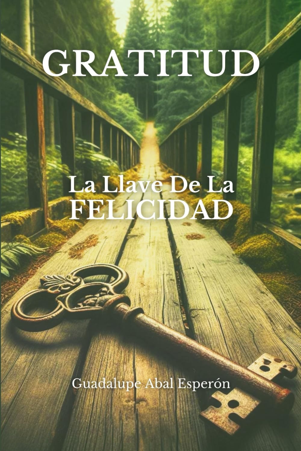 Libro: GRATITUD: La llave de la felicidad (Spanish Edition)