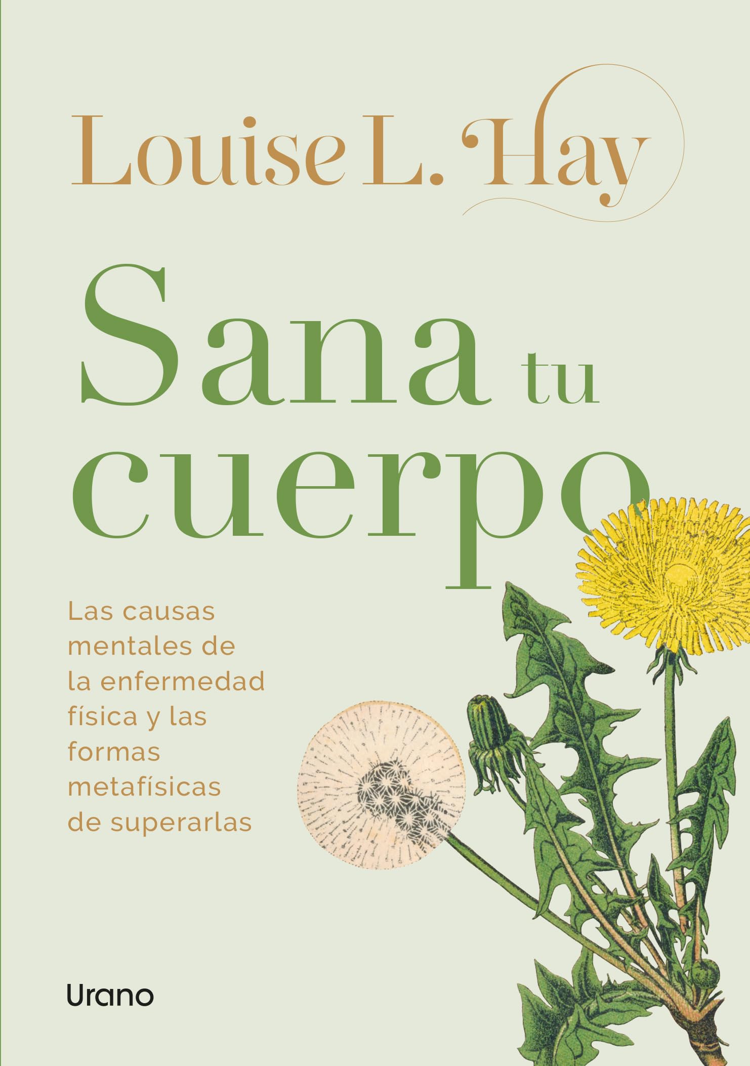 Libro: Sana tu cuerpo (Vintage): Las causas mentales de la enfermedad física y la forma metafísica de superarlas (BIBLIOTECA LOUISE L HAY)