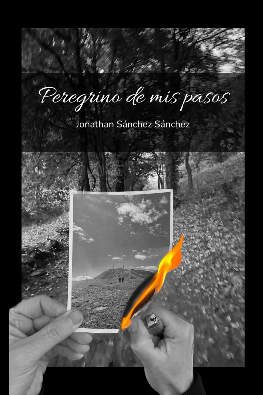 Libro: Peregrino de mis pasos (Spanish Edition)