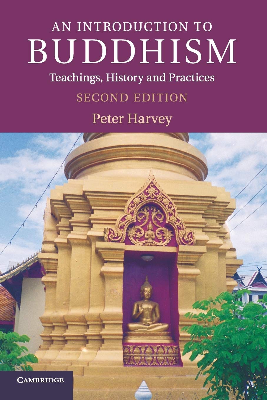 Libro: An Introduction to Buddhism: Teachings, History and Practices (Introduction to Religion)