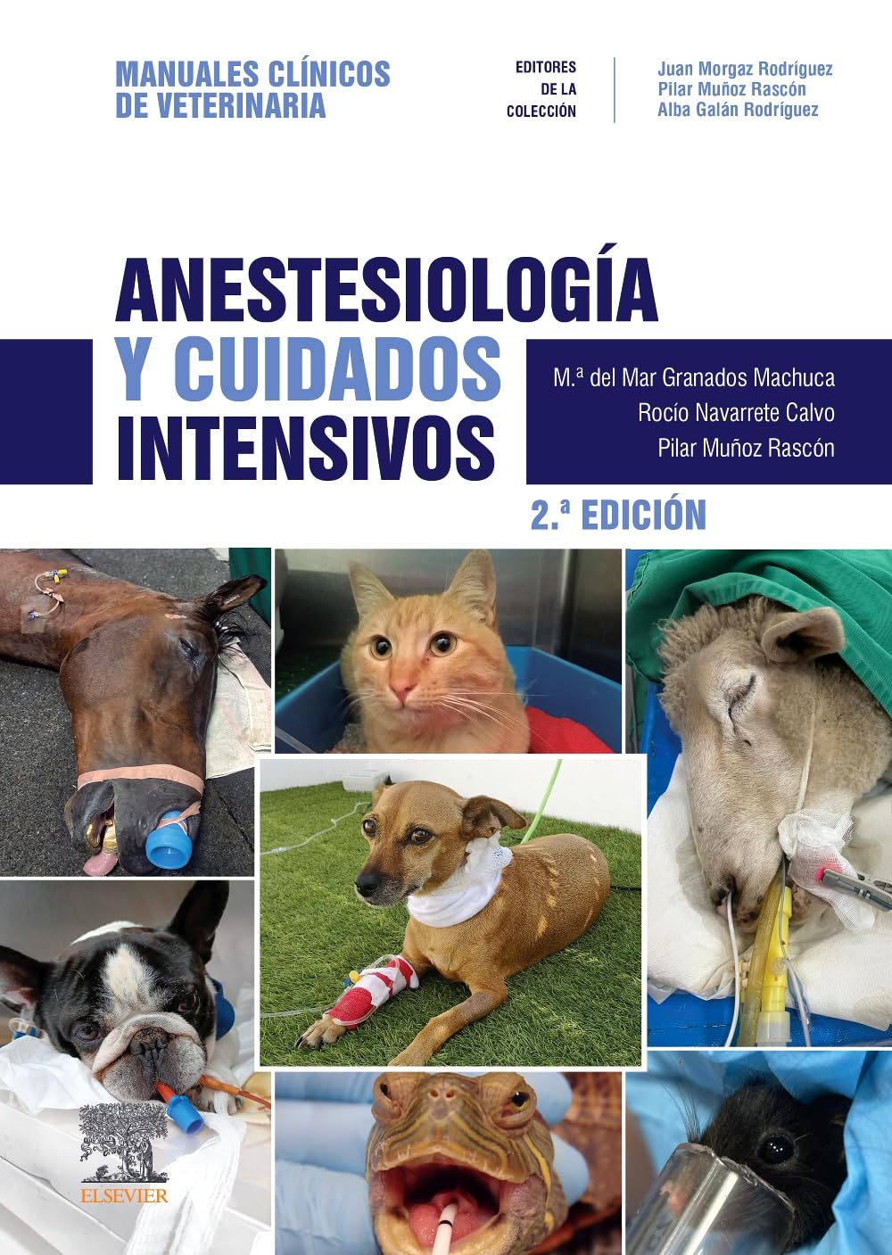 Libro: Anestesiología y cuidados intensivos: Manuales clínicos de Veterinaria