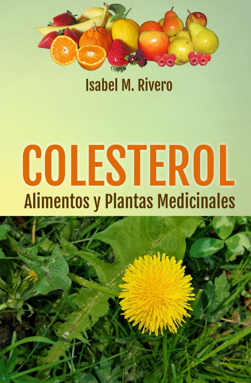 Libro: COLESTEROL. Alimentos y Plantas Medicinales: Conoce TODO sobre el colesterol, y aprende cómo reducirlo con la alimentación, con zumos y con las plantas medicinales más efectivas. (Spanish Edition)