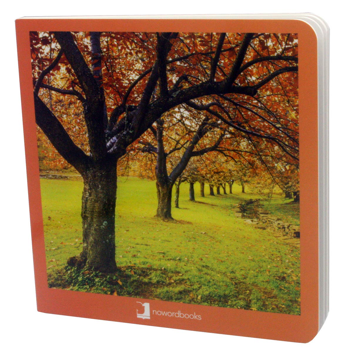 Libro: Otoño: 19 (Mis Primeras Imágenes)