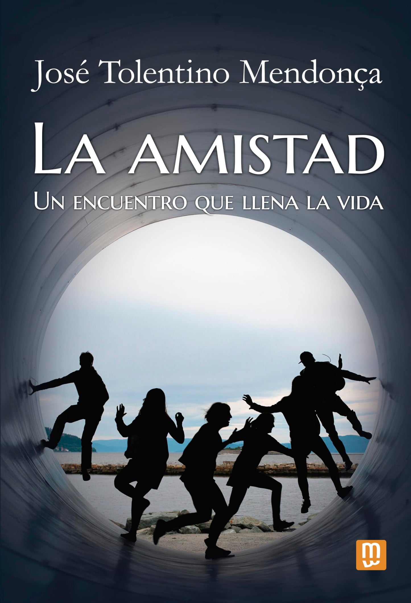 Libro: La amistad: Un encuentro que llena la vida