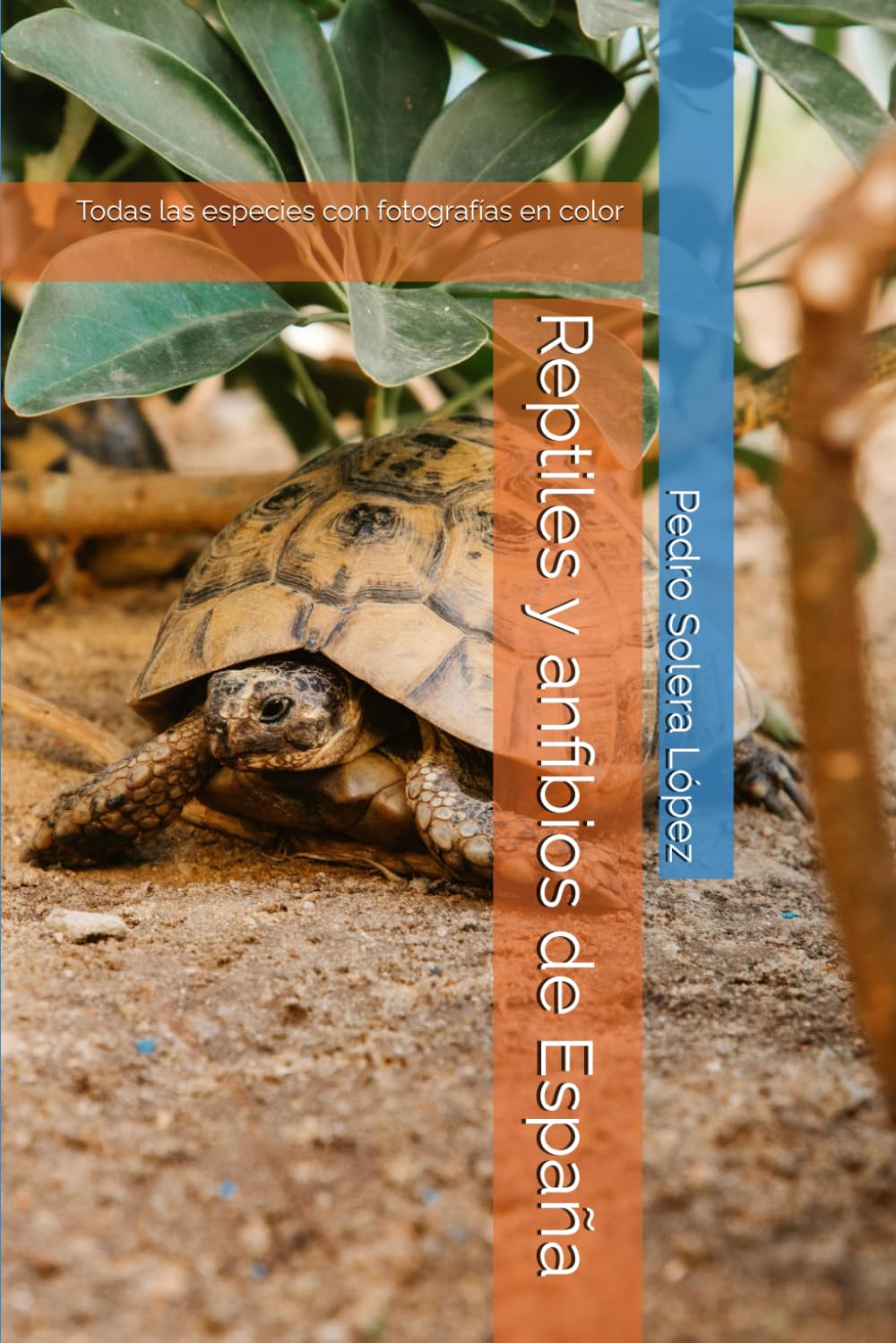 Libro: Reptiles y anfibios de España: Todas las especies con fotografías en color (Spanish Edition)