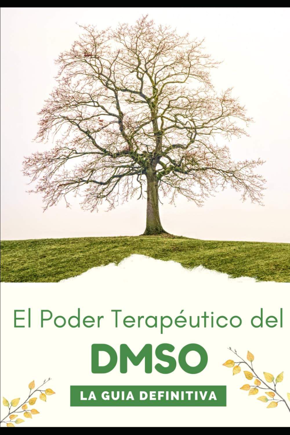 Libro: El Poder Terapéutico del DMSO: LA GUIA DEFINITIVA