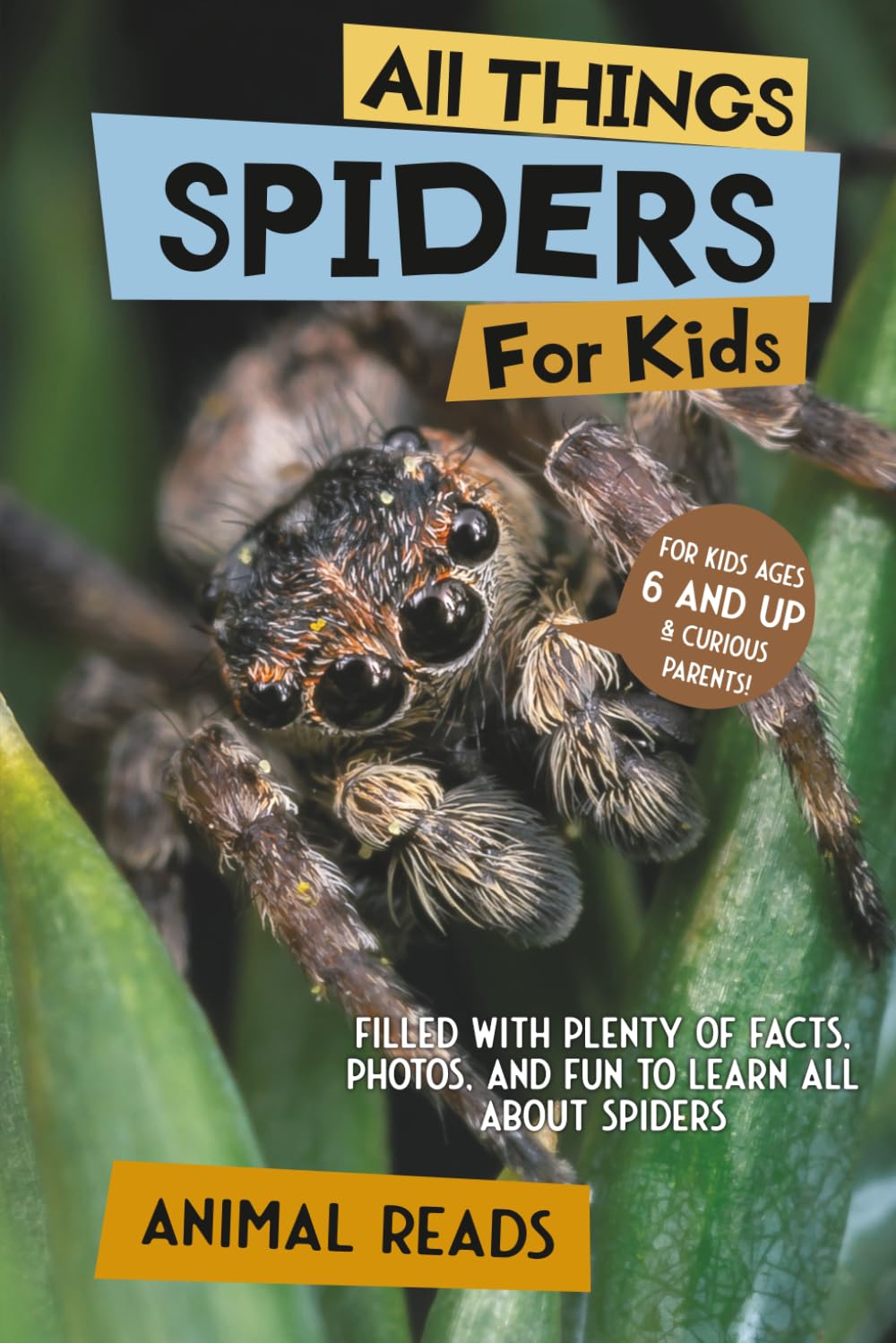 Libro: All Things Spiders For Kids: Filled With Plenty of Facts, Photos, and Fun to Learn all About Spiders