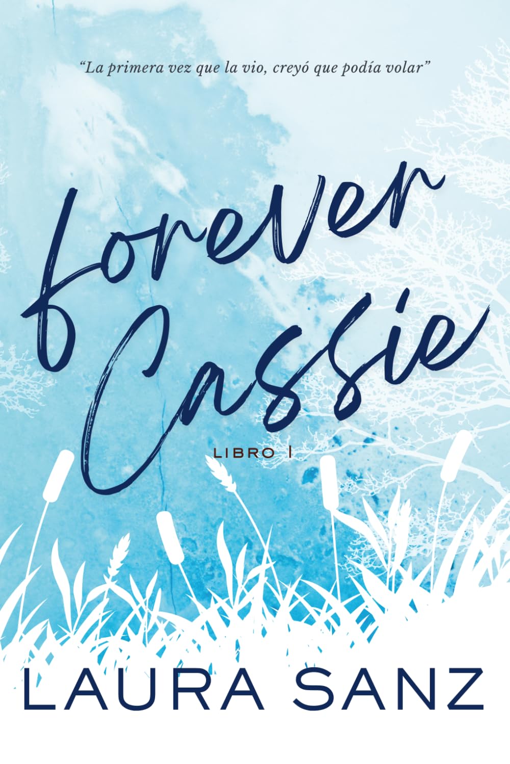 Libro: Forever Cassie: Novela romántica contemporánea