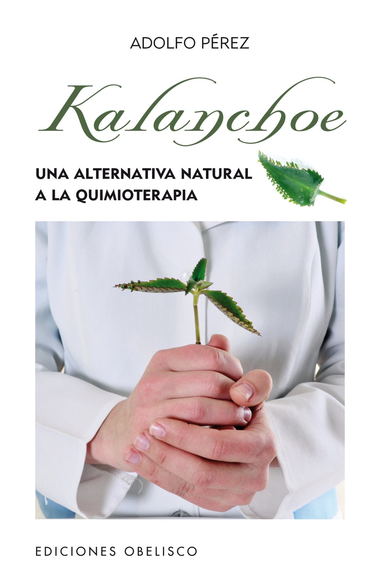 Libro: Kalanchoe (Bolsillo) (SALUD Y VIDA NATURAL)