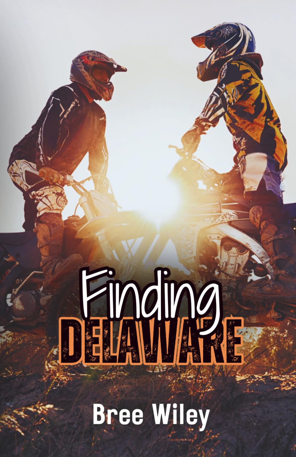 Libro: Finding Delaware (State of Us)