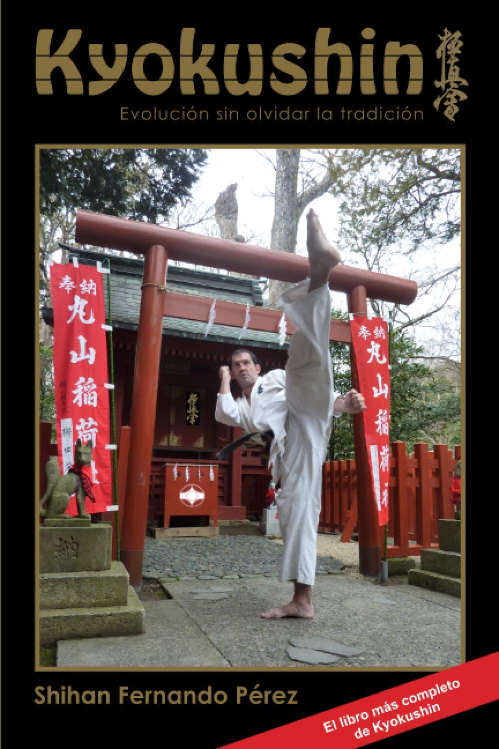 Libro: KYOKUSHIN: EVOLUCIÓN SIN OLVIDAR LA TRADICIÓN (Spanish Edition)