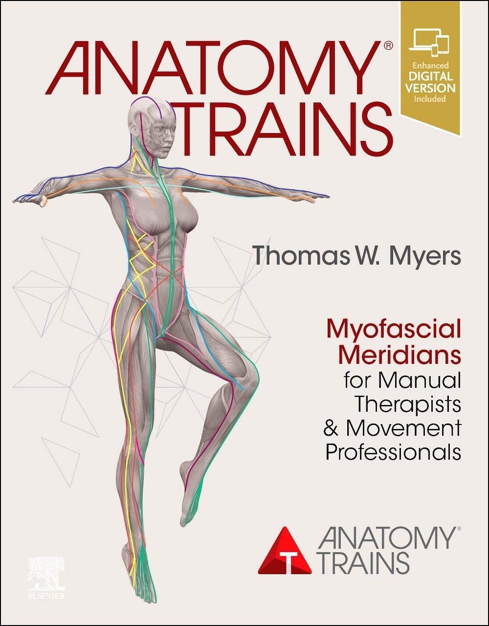 Libro: Anatomy Trains: Myofascial Meridians for Manual Therapists and Movement Professionals