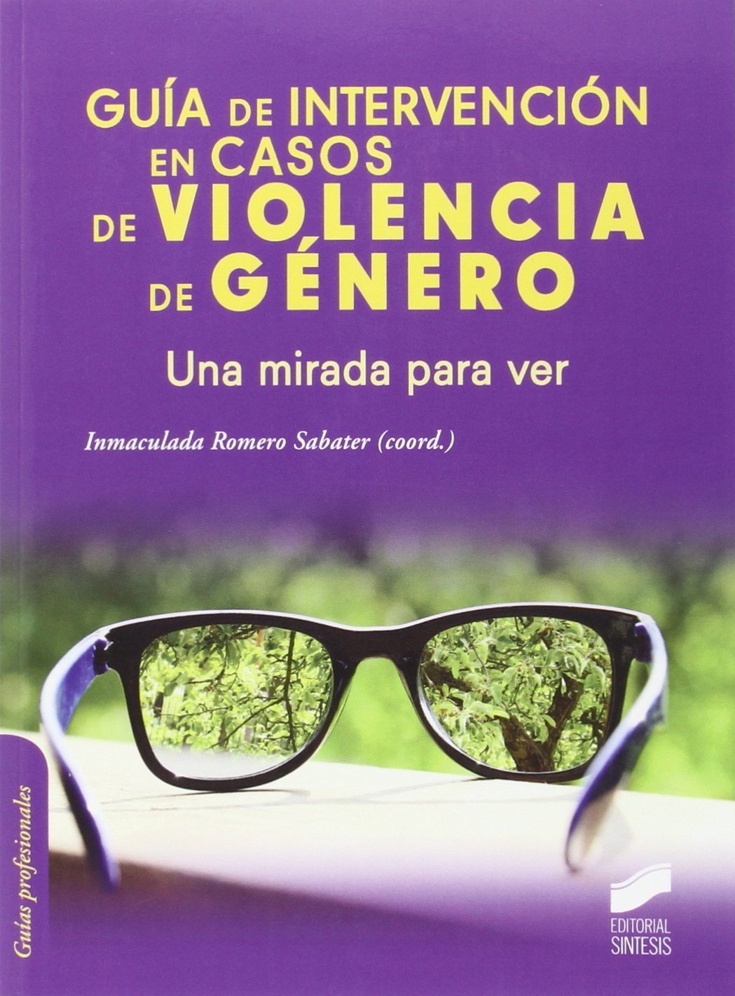 Libro: Guía de intervención en casos de violencia de género: Una mirada para ver