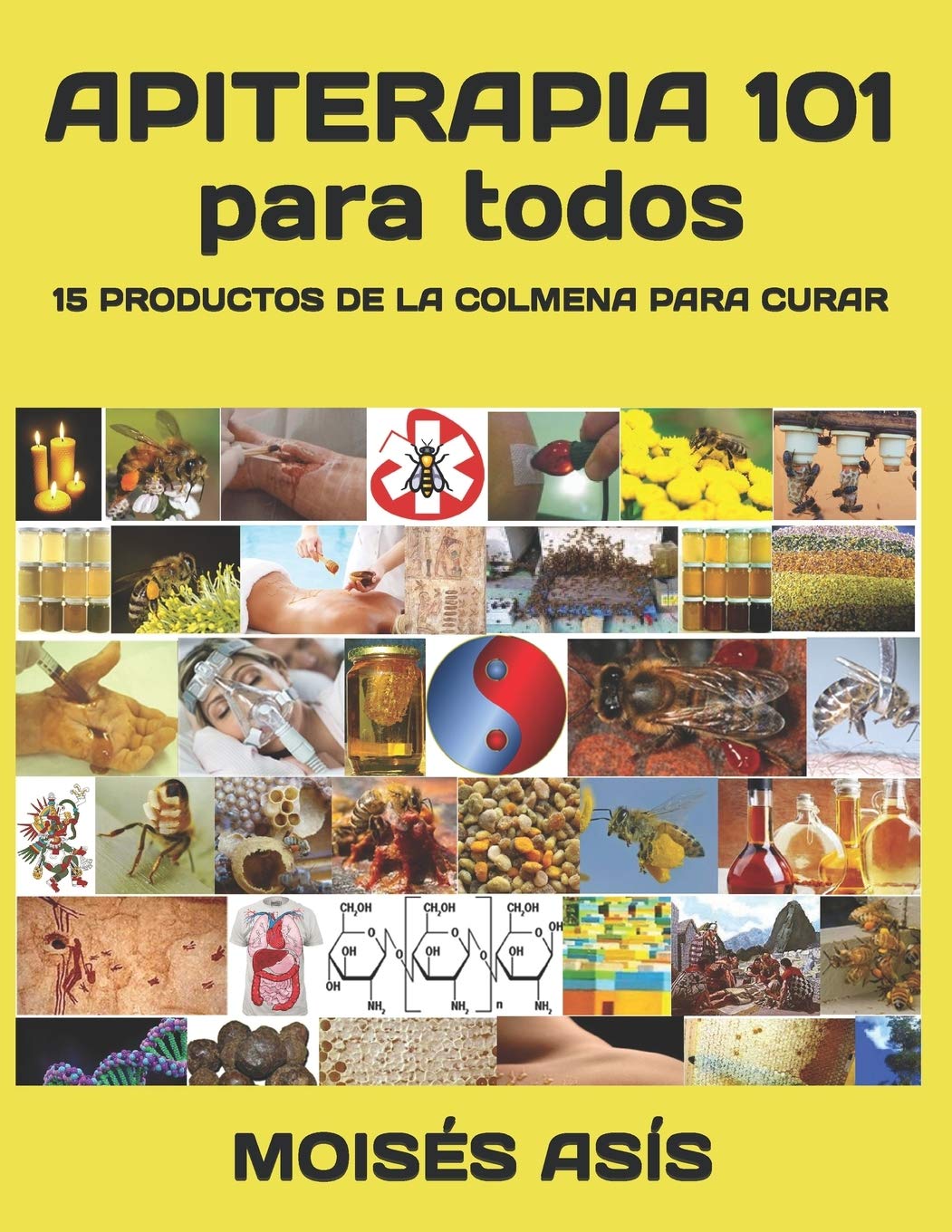 Libro: Apiterapia 101 para todos: 15 productos de la colmena para curar: miel de panales y meliponas, mielato, hidromiel, polen, pan, jalea real, apitoxina, propóleo, cera, opérculos, larvas, aire de colmena