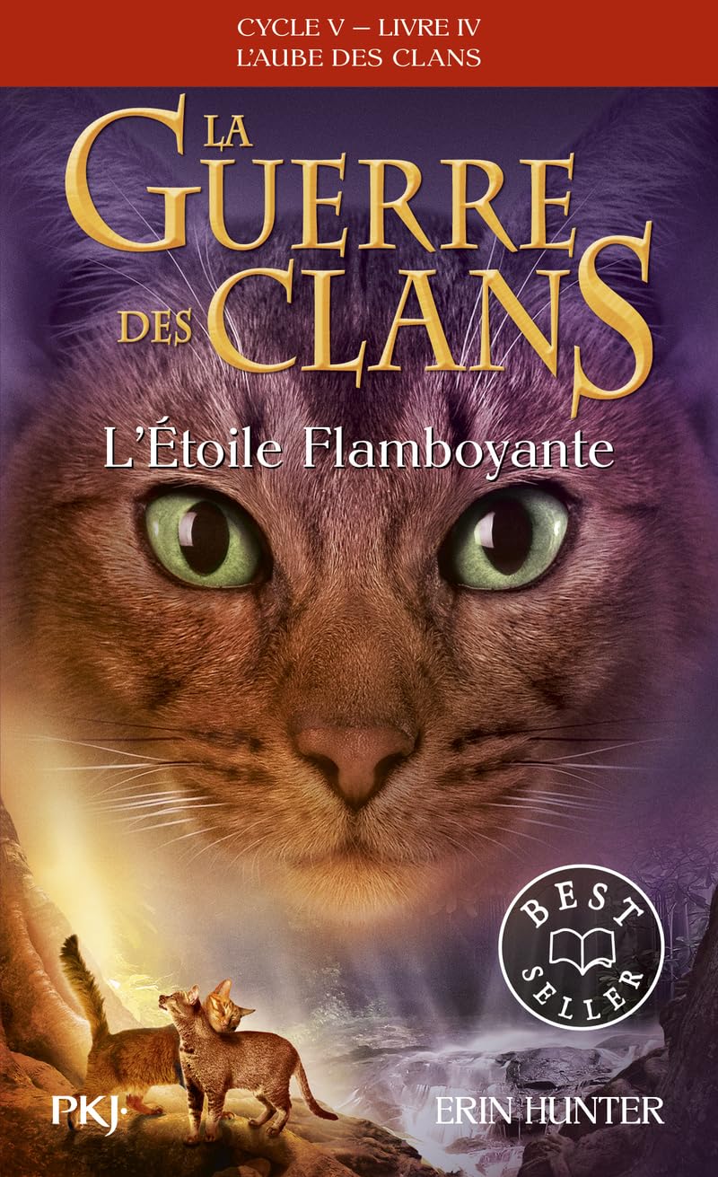Libro: L'Etoile Flamboyante: 4