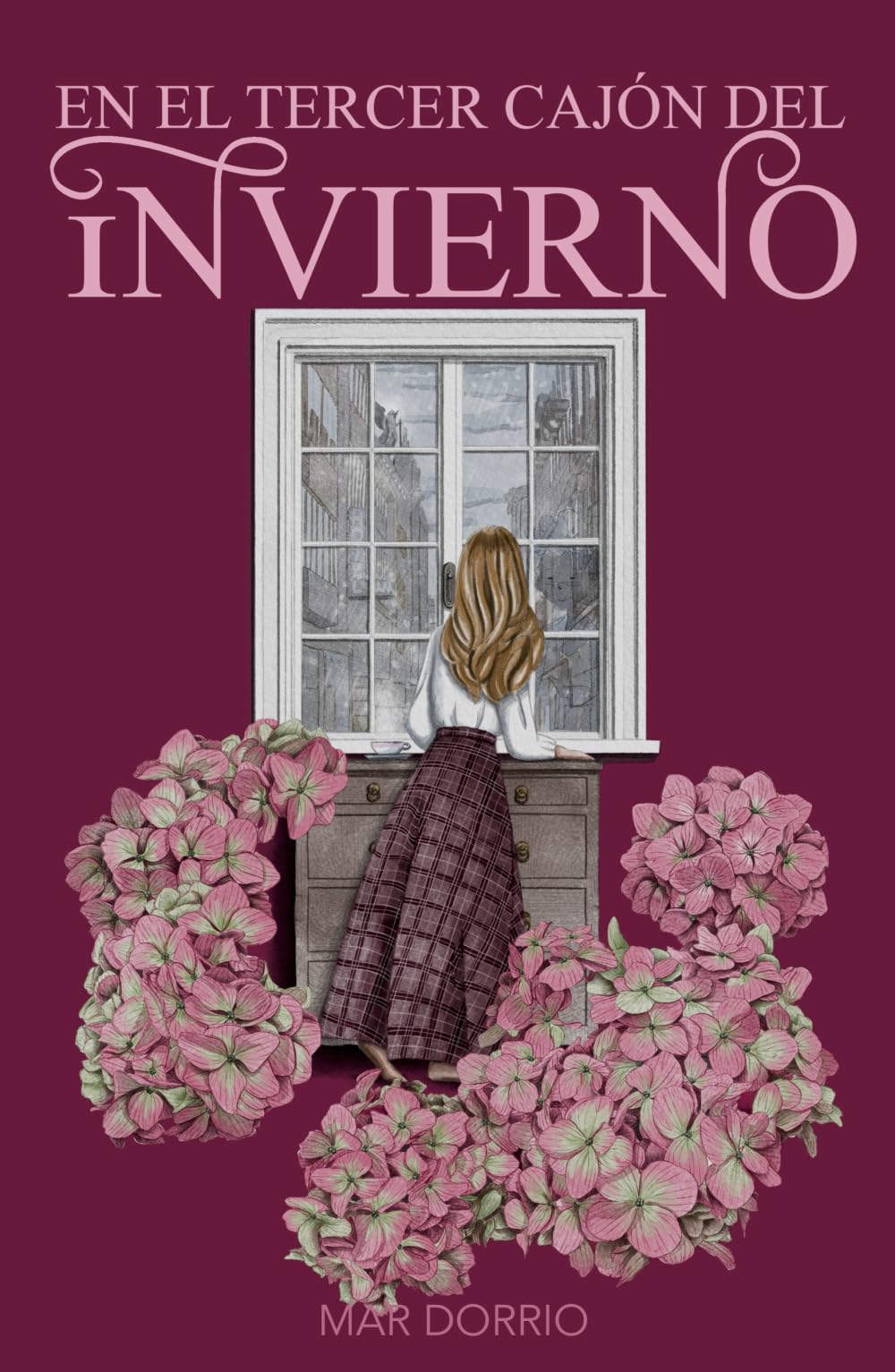 Libro: EN EL TERCER CAJÓN DEL INVIERNO (Spanish Edition)